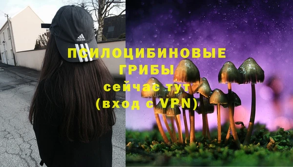 амф Абдулино