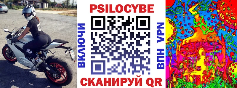купить наркоту  Черкесск  Галлюциногенные грибы Magic Shrooms 