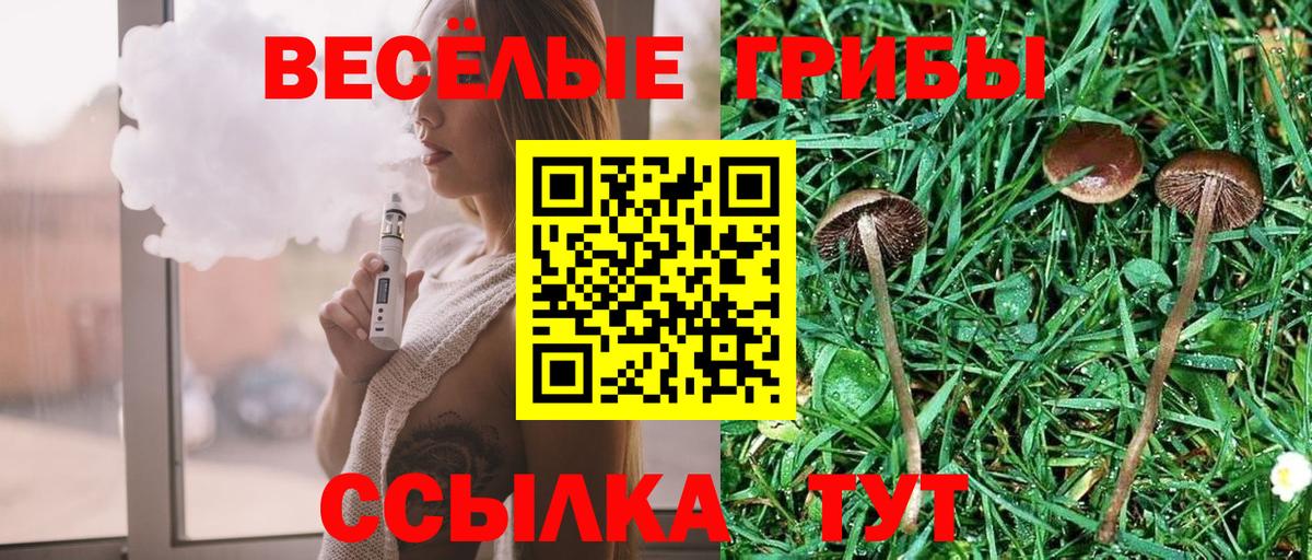 Псилоцибиновые грибы мицелий  Вход с VPN  Галлюциногенные грибы GOLDEN TEACHER  Черкесск 